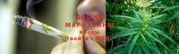 стаф Балахна