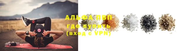 стаф Балахна