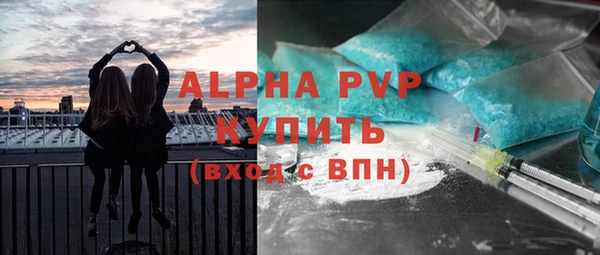 стаф Балахна