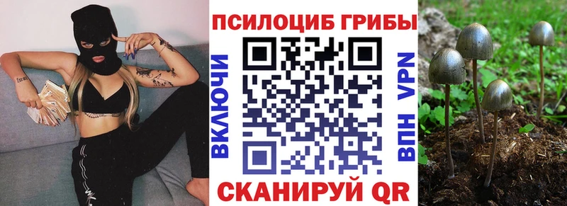 Галлюциногенные грибы мухоморы  Баксан 